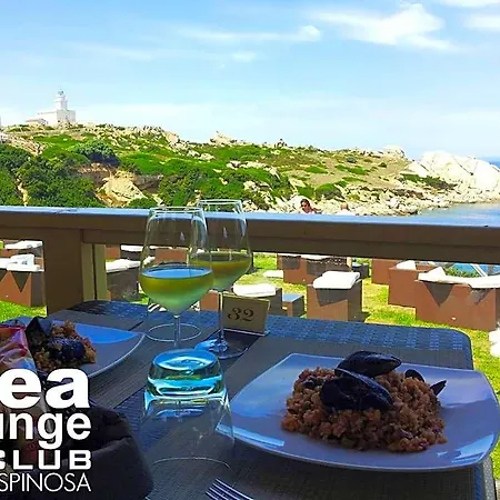 Bed & Breakfast La Maison D'art Santa Teresa Gallura